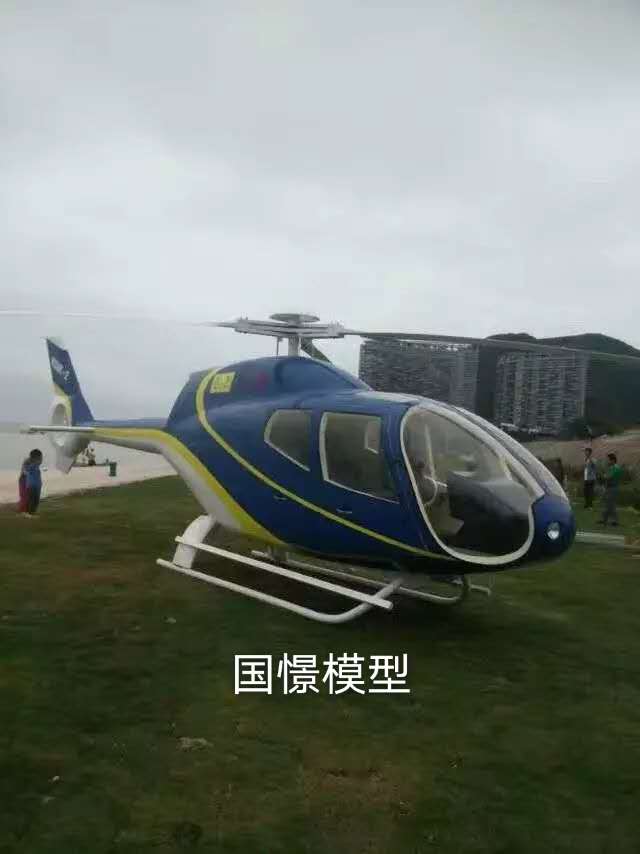 内江飞机模型